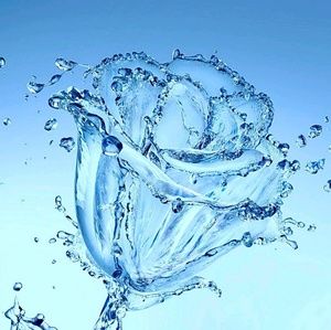 Meet your Posher, Ken